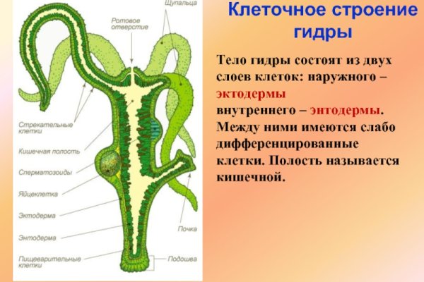 Кракен 16 вход