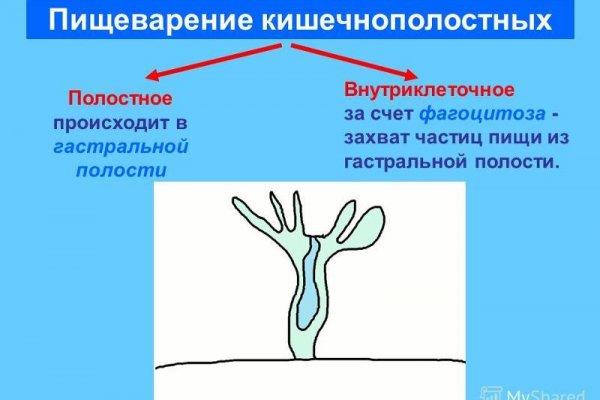 Официальная ссылка на кракен в тор